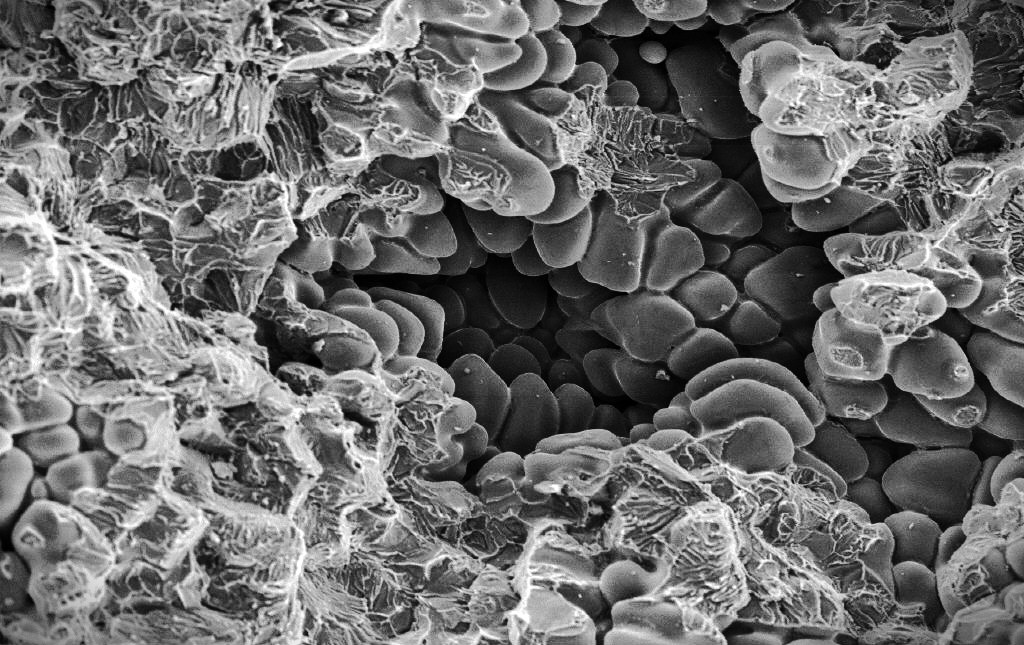 REM, HT Mobile Härteprüfungen