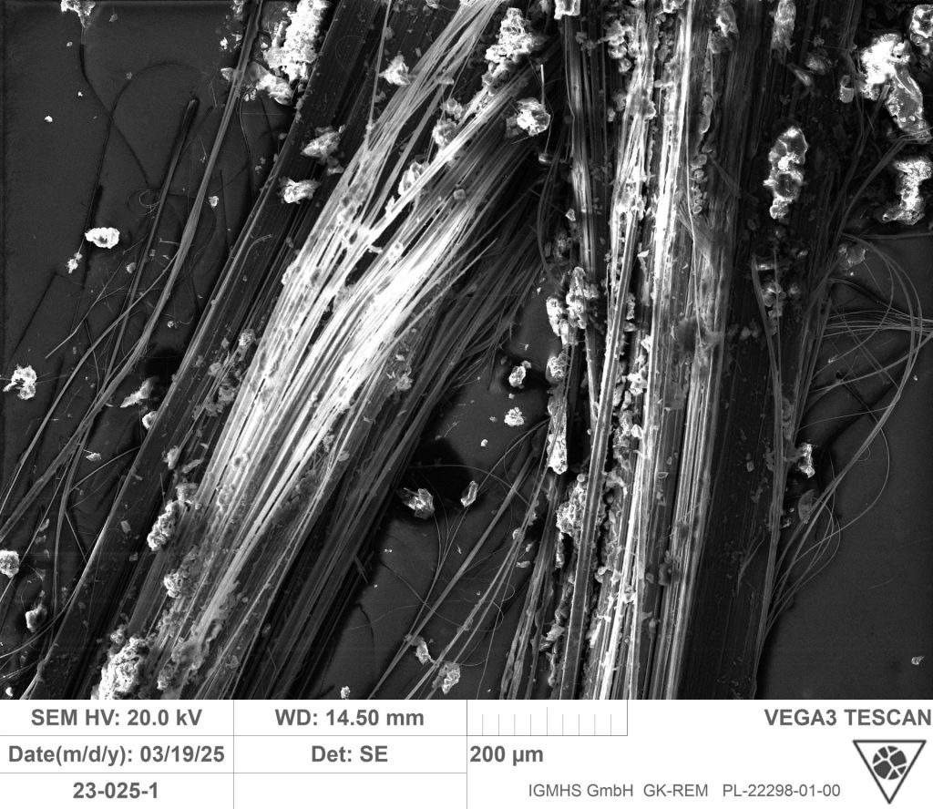 Mikroskopische Aufnahme von Fasern